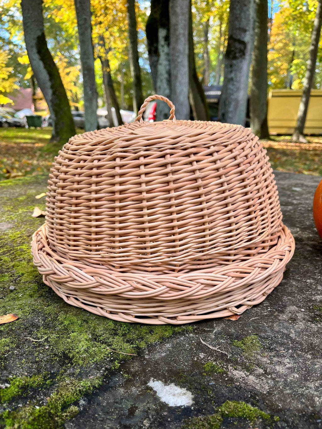 Wicker food cover 017b - NaturelyWoven wicker - handmade