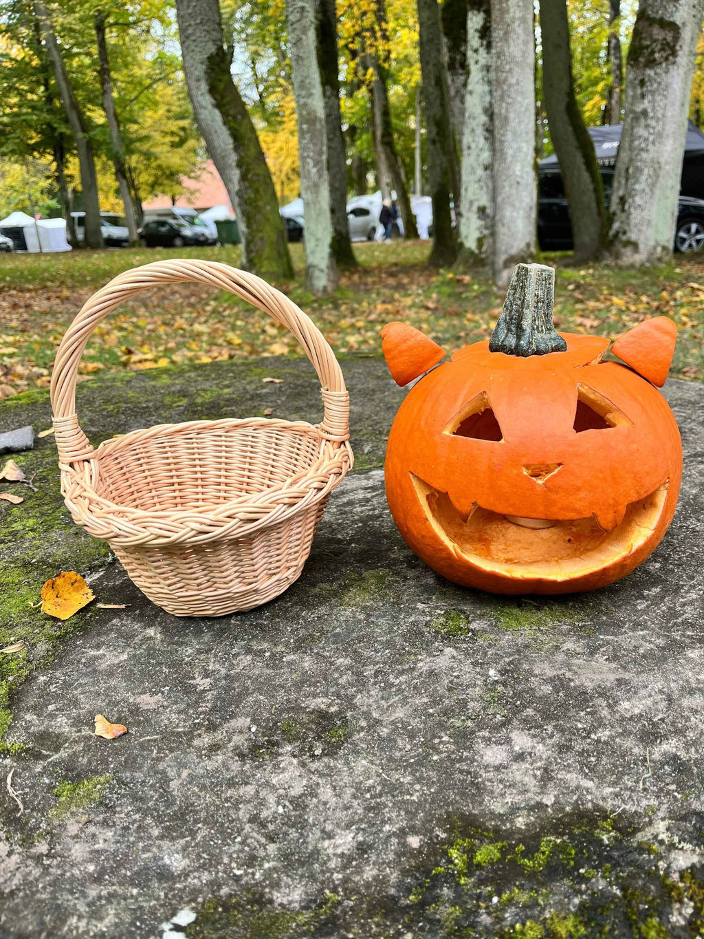Small wicker basket 042b - NaturelyWoven wicker - handmade