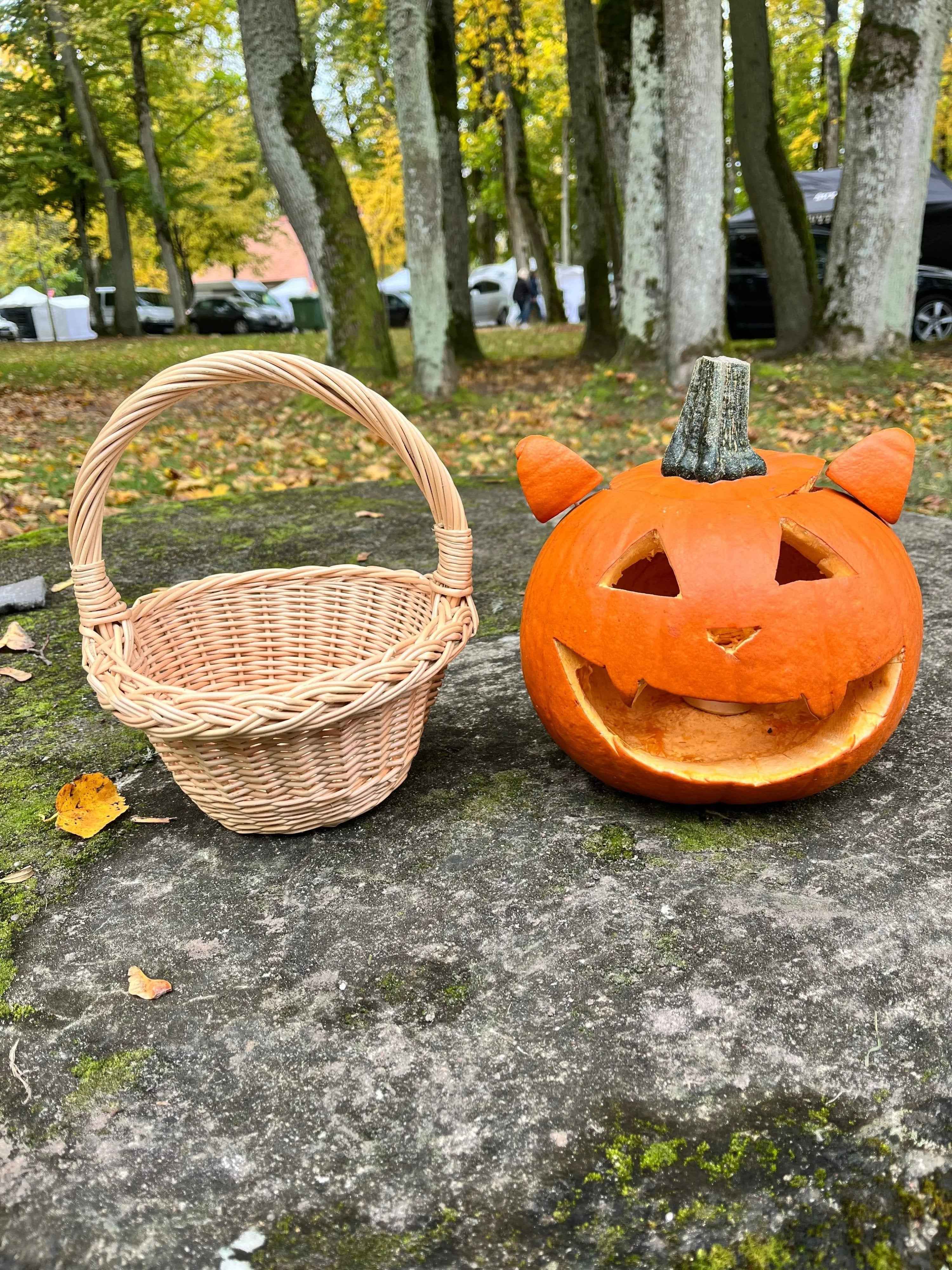 Small wicker basket 042b - NaturelyWoven wicker - handmade