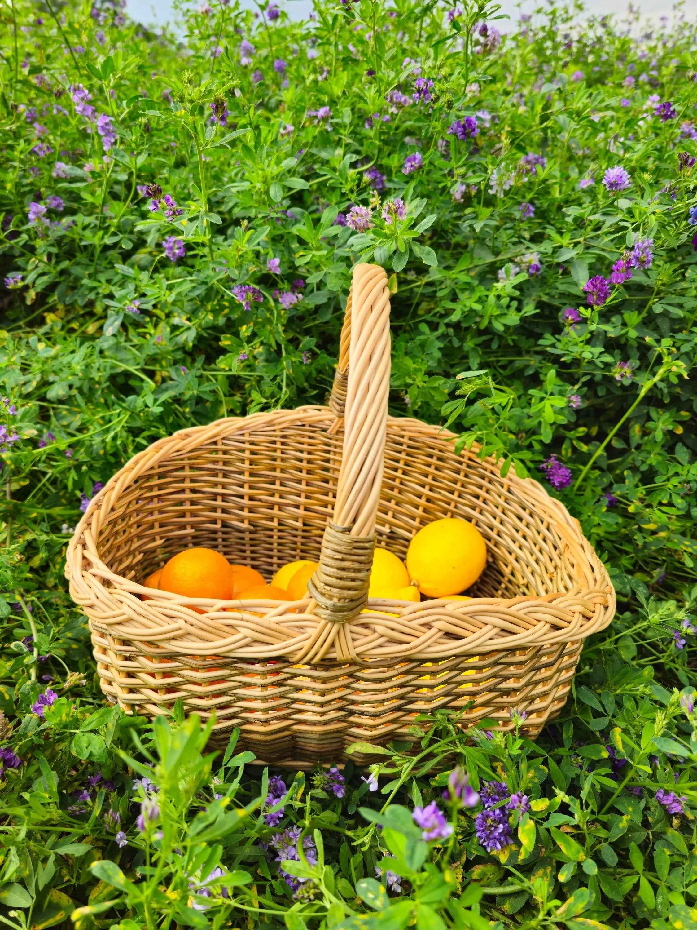 Small wicker basket 051b - NaturelyWoven wicker - handmade