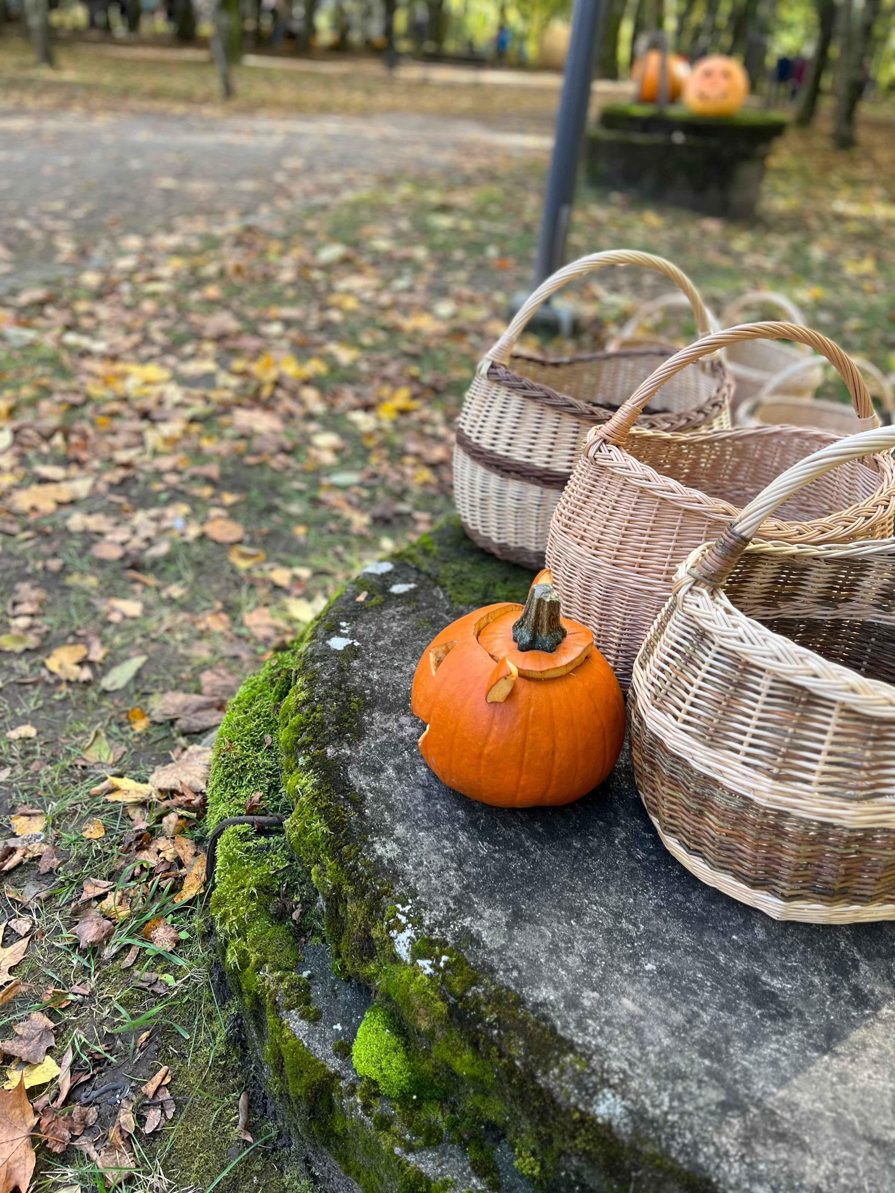 Wicker basket 039b - NaturelyWoven wicker - handmade