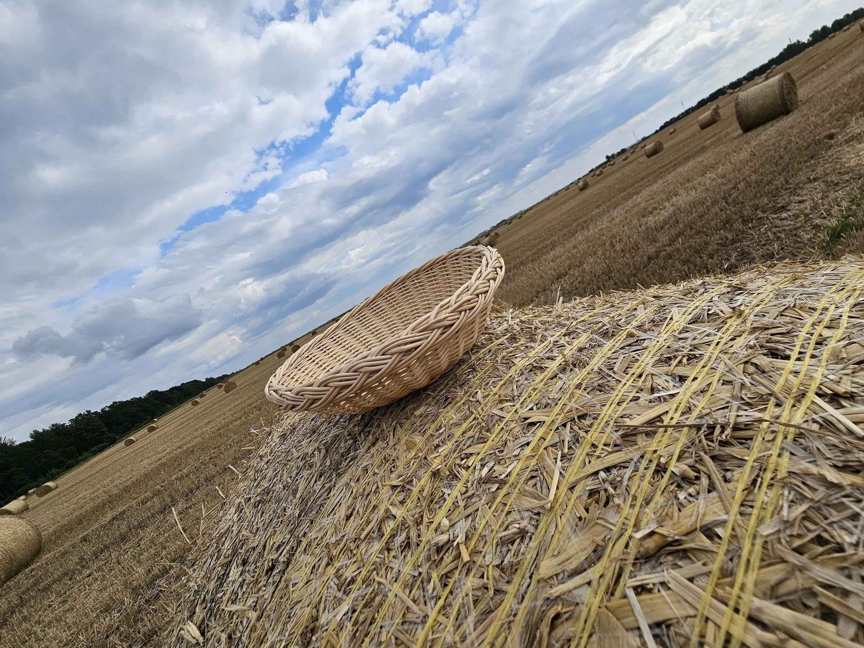 Wicker plate 044b - NaturelyWoven wicker - handmade