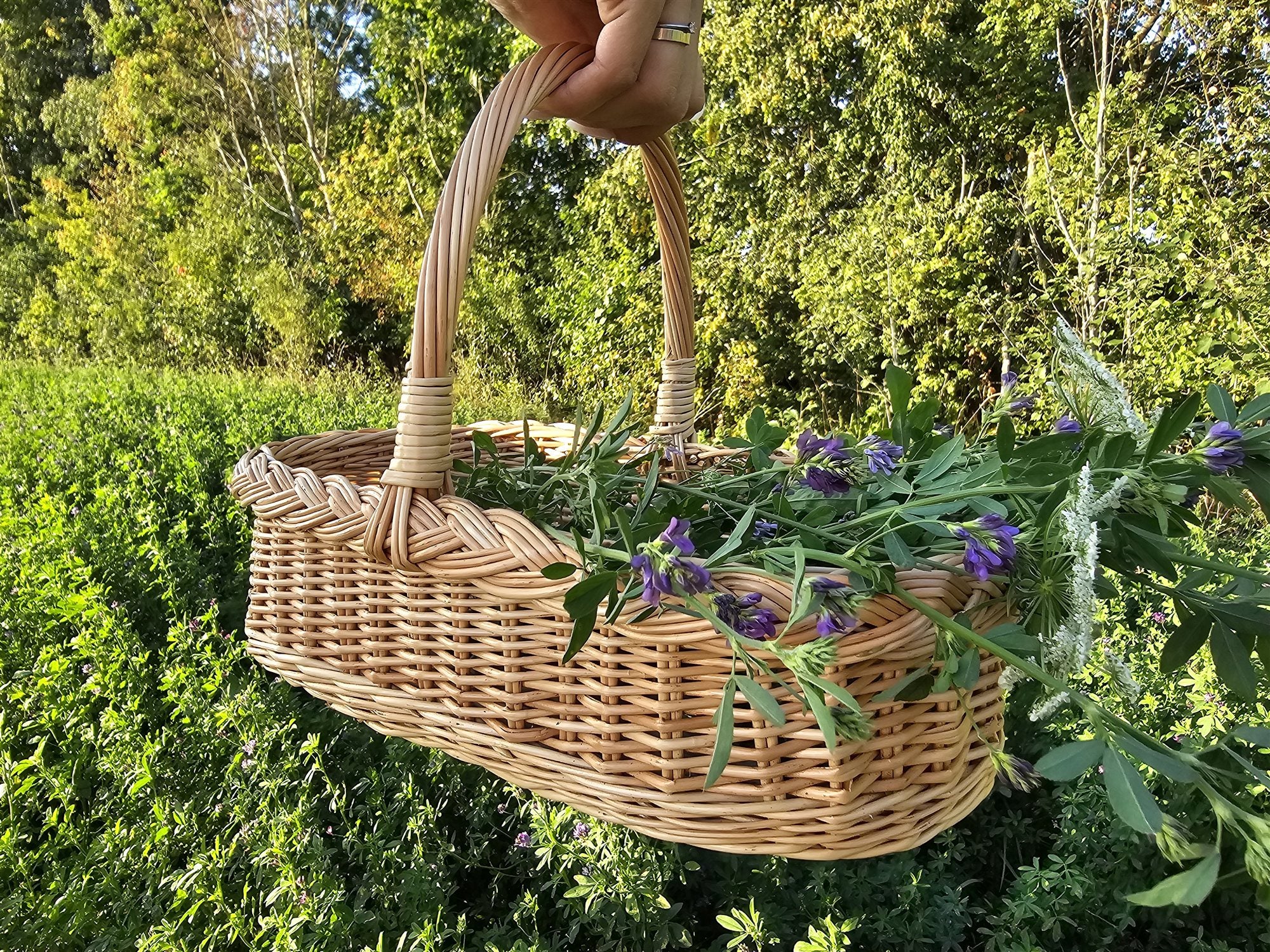 Wicker gathering trug — wicker basket, view 5