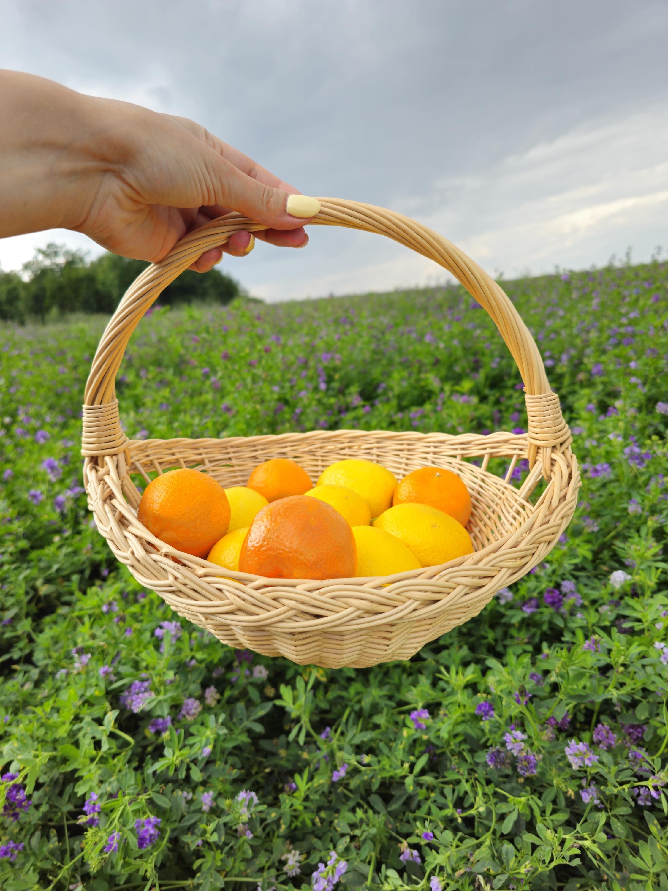 Wicker Garden Trug — handmade wicker basket from Lithuanian willow