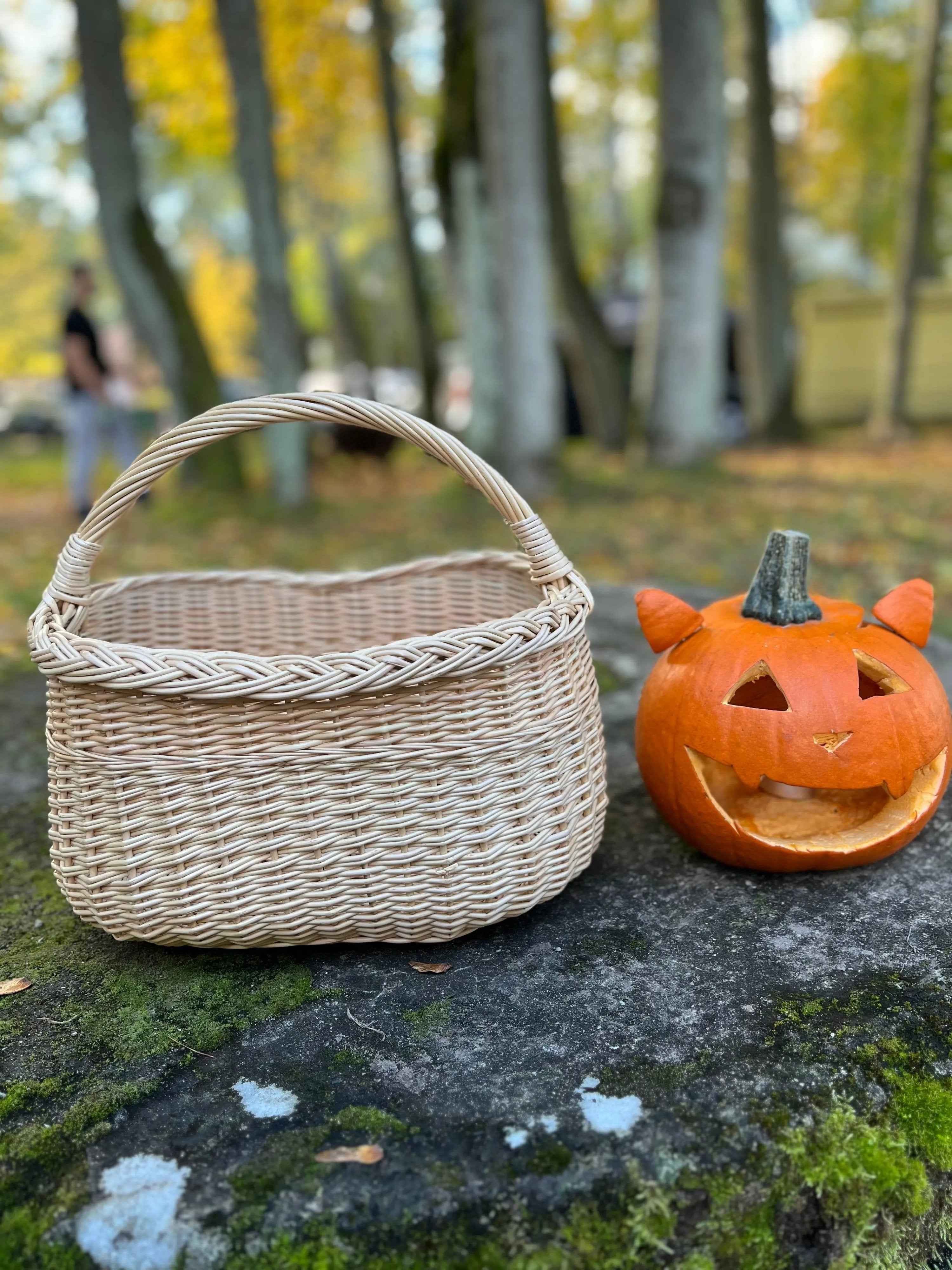 Wicker basket 041b - NaturelyWoven wicker - handmade